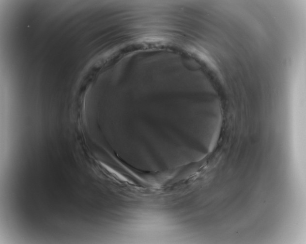 X0000088140920200706042006