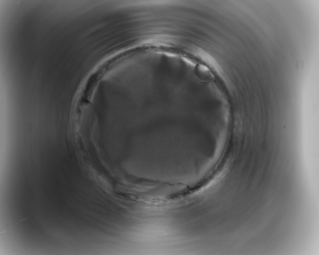 X0000088140923200706042006