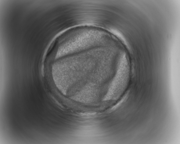 X0000088140924200706042006