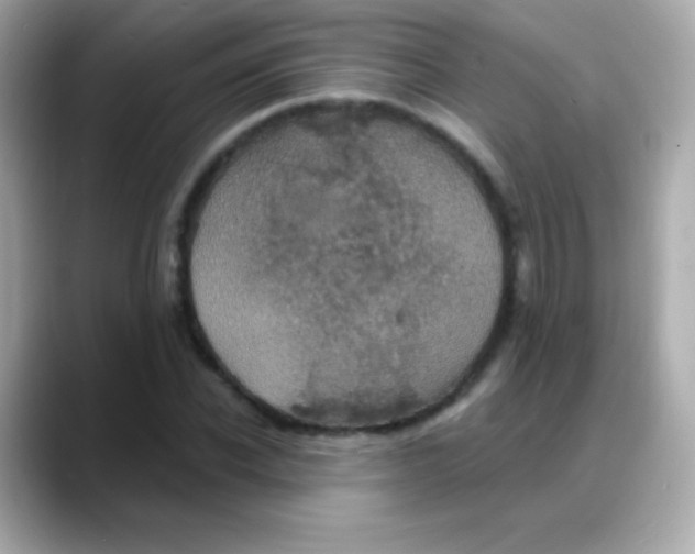 X0000088140926200706042006