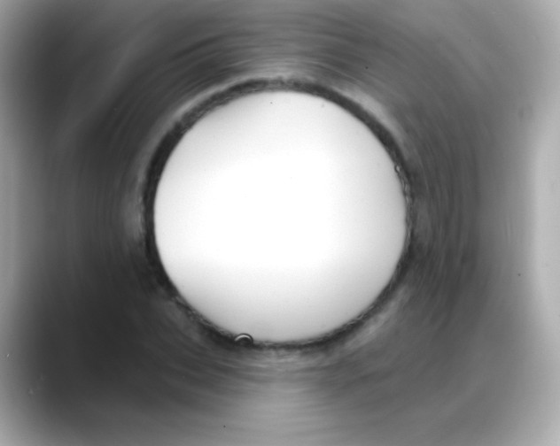 X0000088140927200706042006