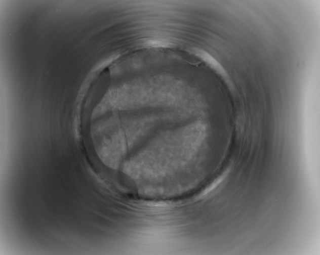 X0000088140930200706042006