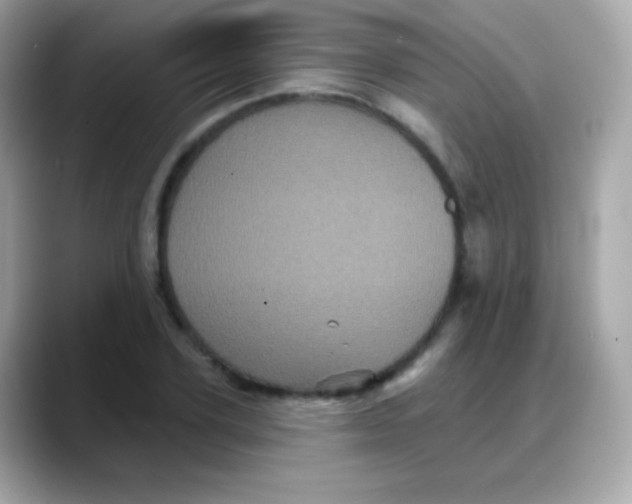 X0000088140931200706042006