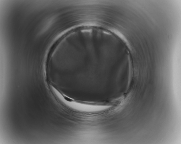 X0000088140935200706042006