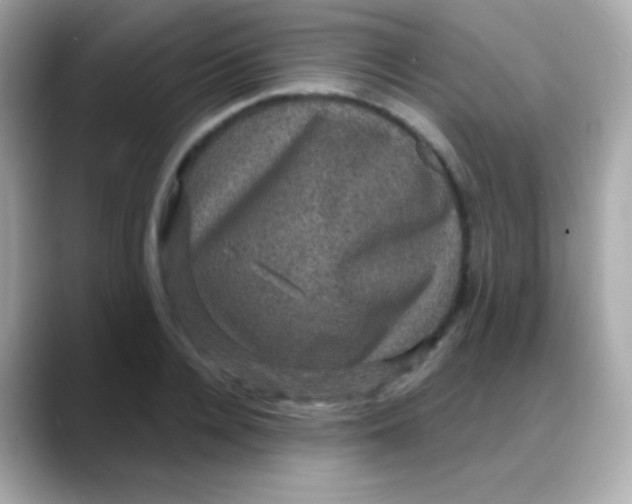 X0000088140936200706042006