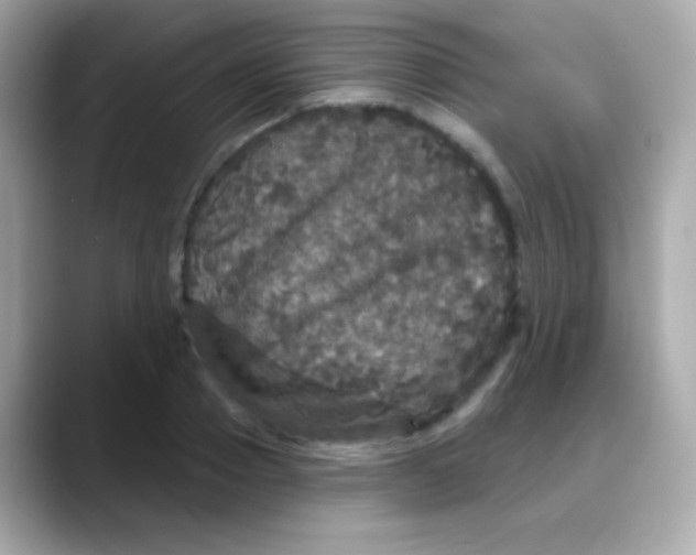 X0000088140937200706042006