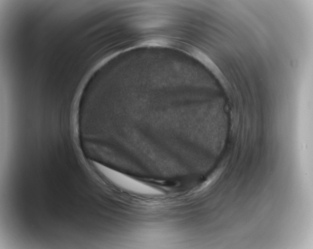 X0000088140939200706042006