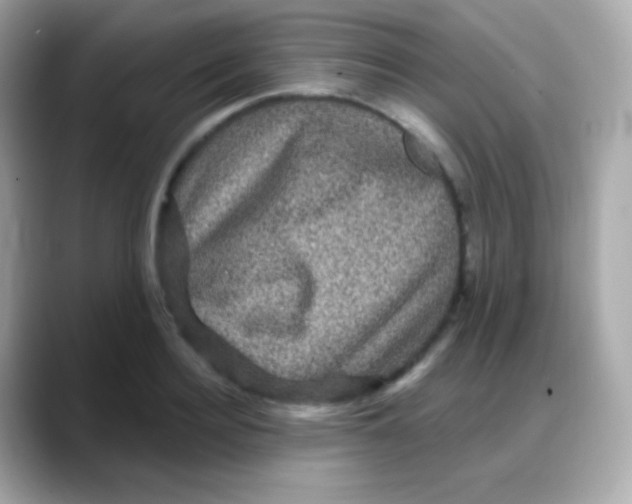 X0000088140940200706042006