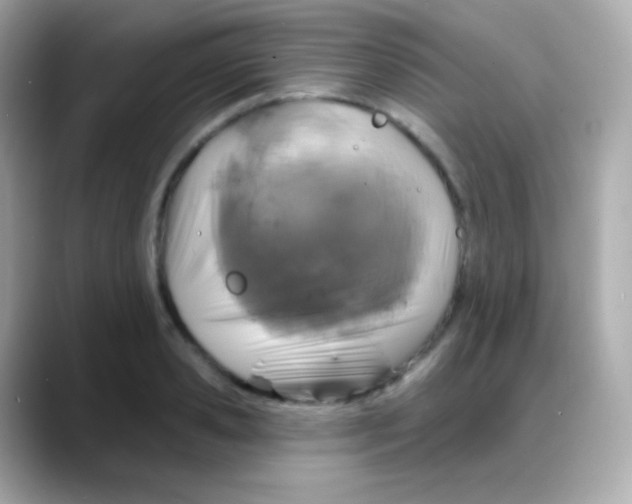 X0000088140941200706042006