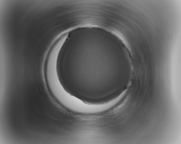 X0000088140942200706042006