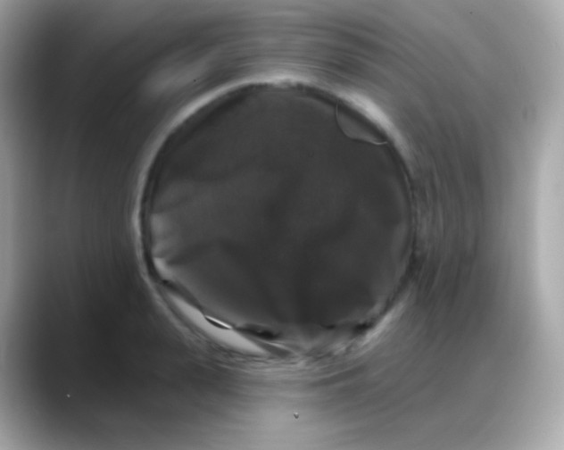 X0000088140943200706042006