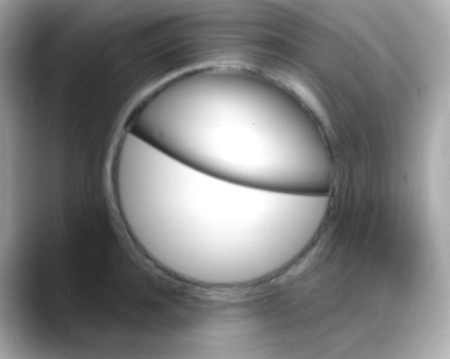 X0000088140944200706042006