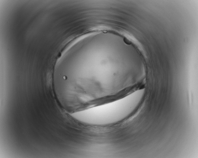 X0000088140945200706042006