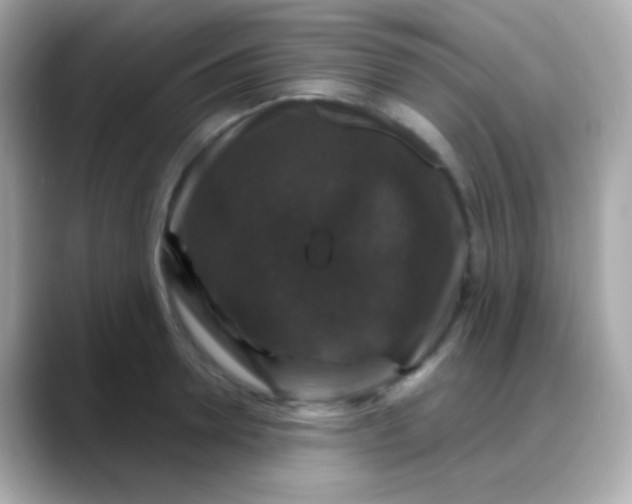 X0000088140946200706042006