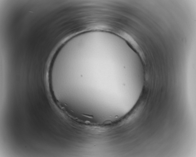 X0000088140947200706042006