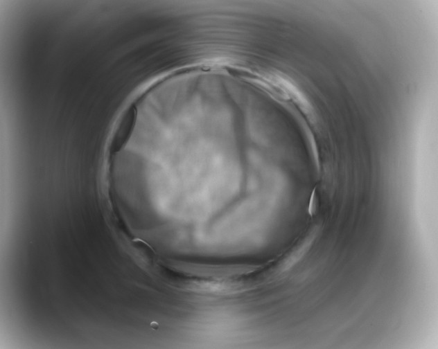 X0000088140948200706042006