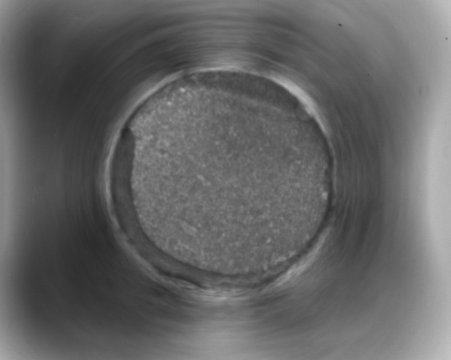 X0000088140949200706042006