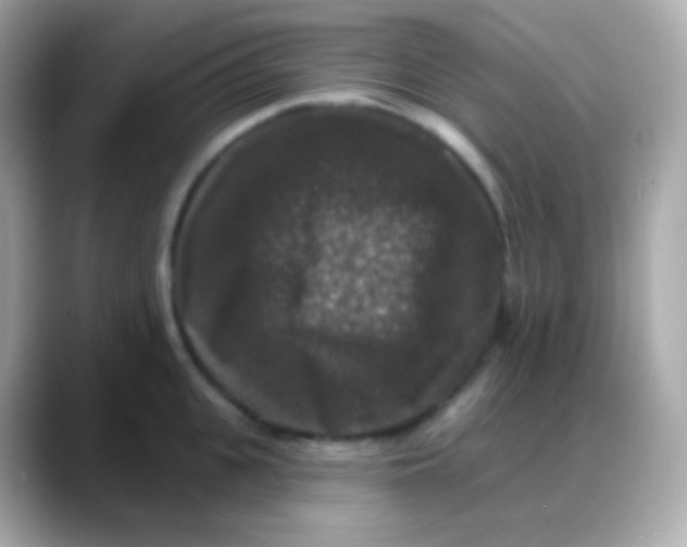 X0000088140951200706042006