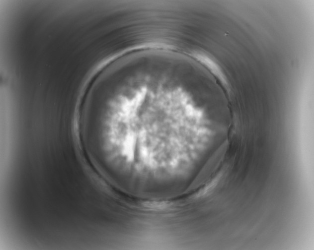 X0000088140952200706042006