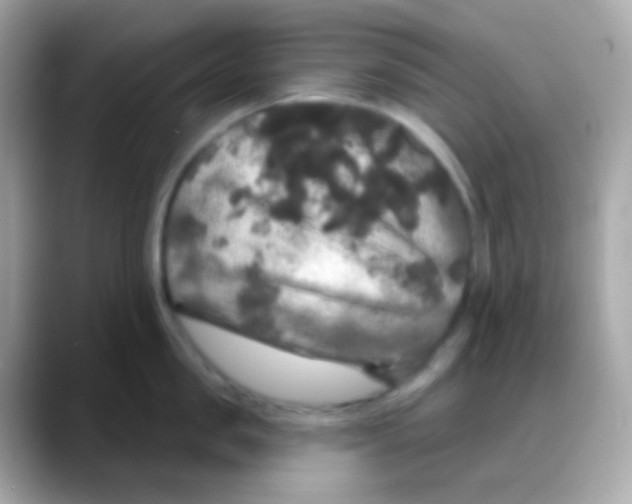 X0000088140957200706042006