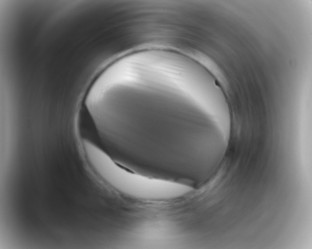 X0000088140958200706042006