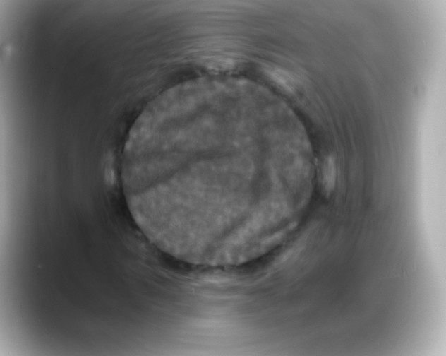 X0000088140962200706042006