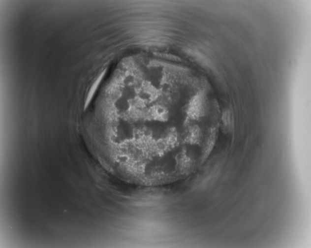 X0000088140963200706042006