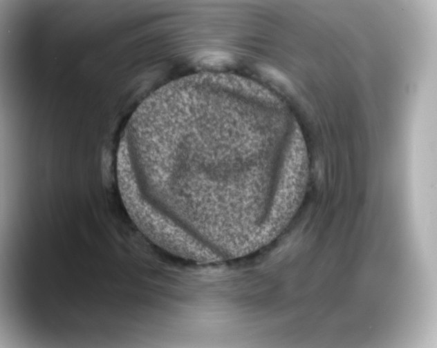 X0000088140964200706042006