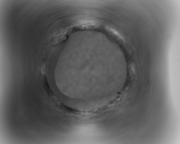 X0000088140965200706042006