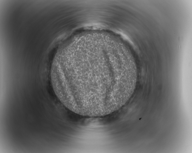 X0000088140967200706042006