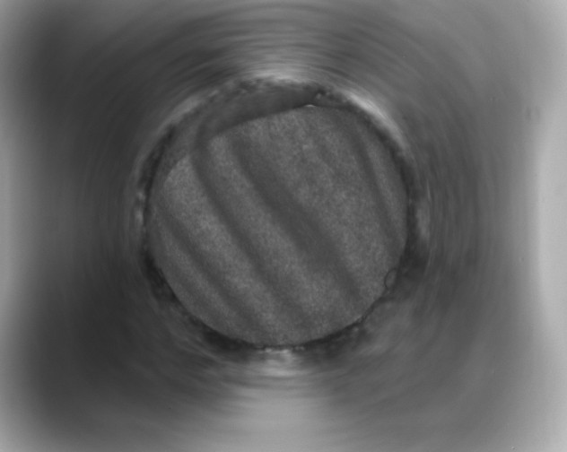 X0000088140968200706042006