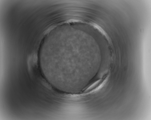 X0000088140969200706042006