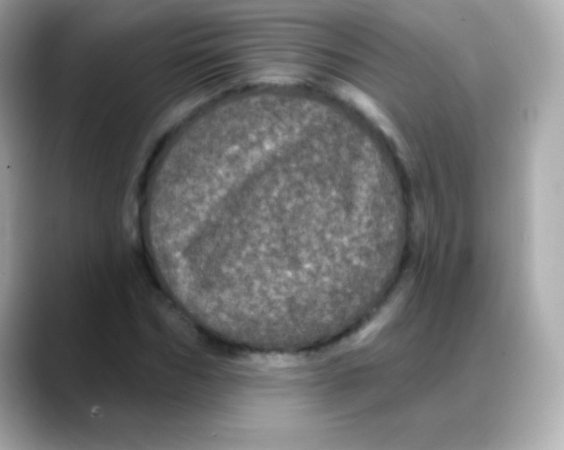 X0000088140970200706042006