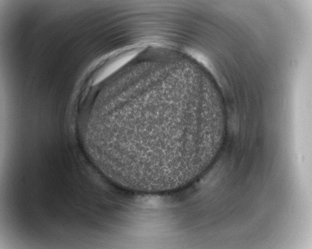 X0000088140971200706042006