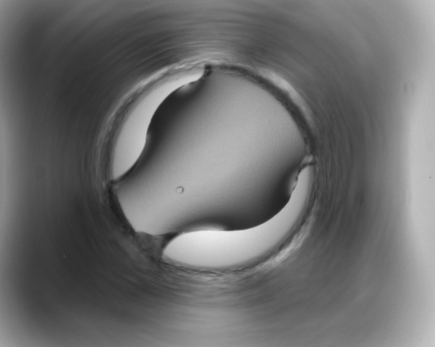 X0000088140973200706042005