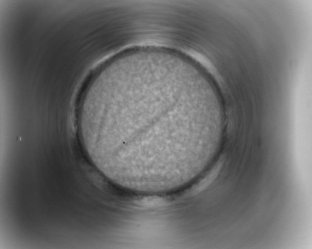 X0000088140974200706042005