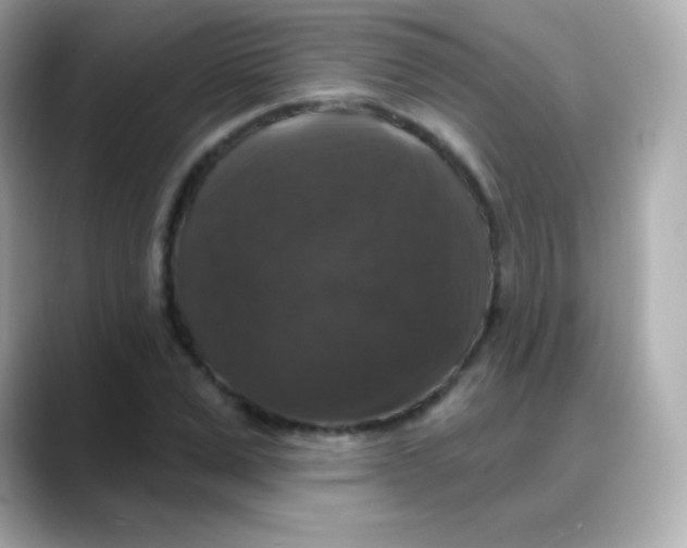 X0000088140975200706042005