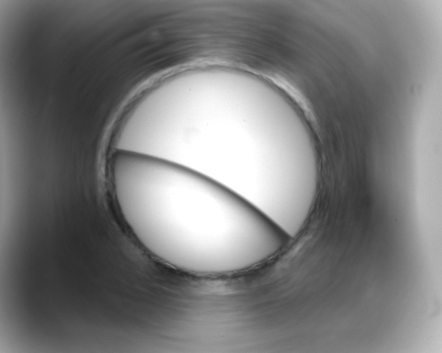 X0000088140976200706042005