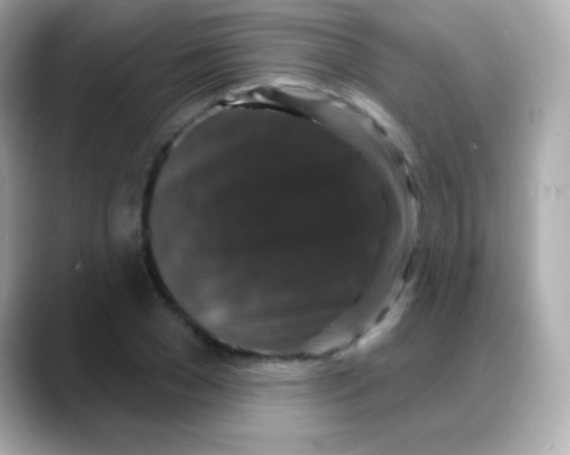 X0000088140977200706042005