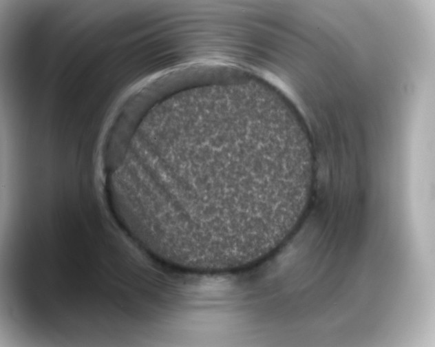 X0000088140979200706042005