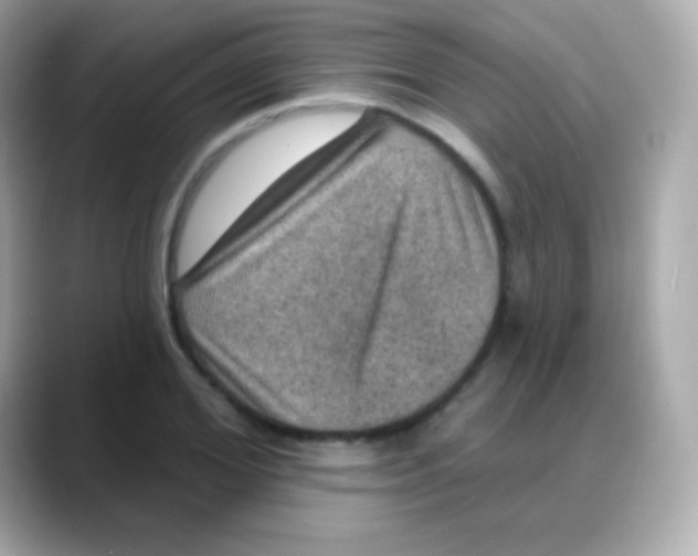 X0000088140980200706042005