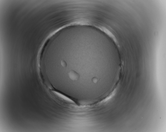 X0000088140981200706042005