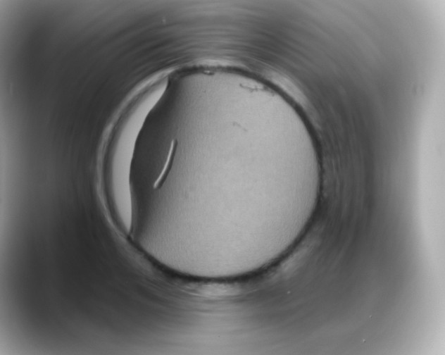 X0000088140984200706042005