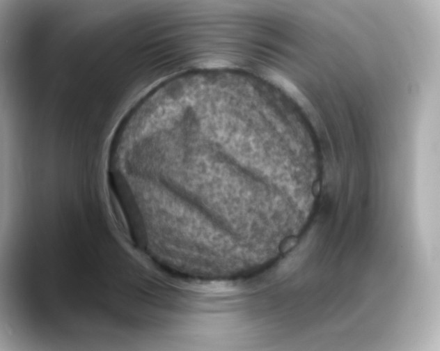 X0000088140986200706042005