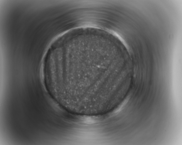 X0000088140987200706042005