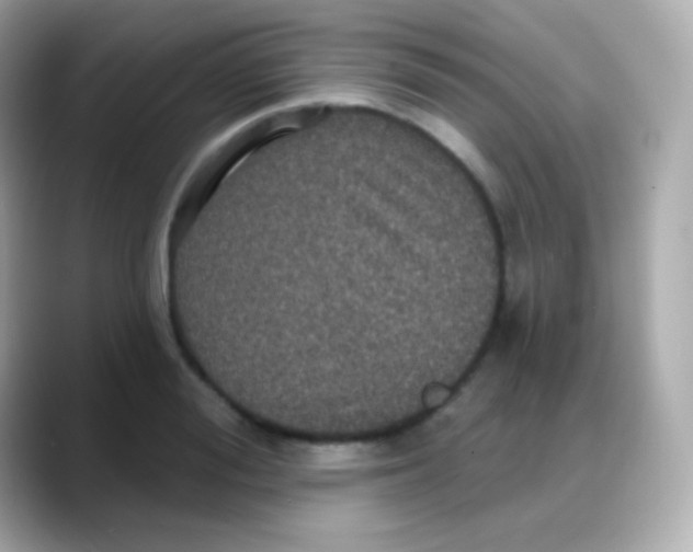 X0000088140988200706042005