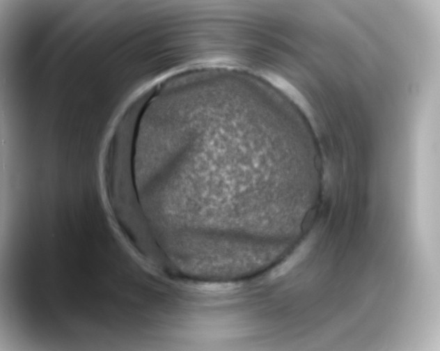 X0000088140989200706042005