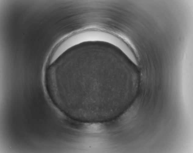 X0000088140991200706042005