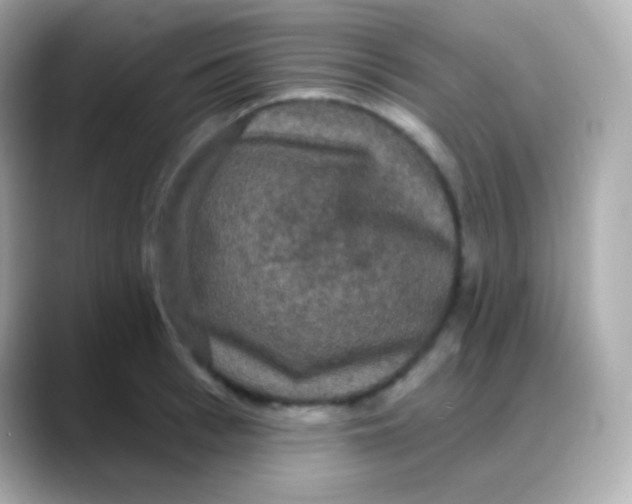 X0000088140993200706042005