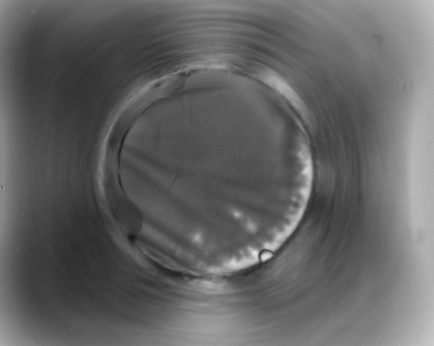 X0000088140994200706042005